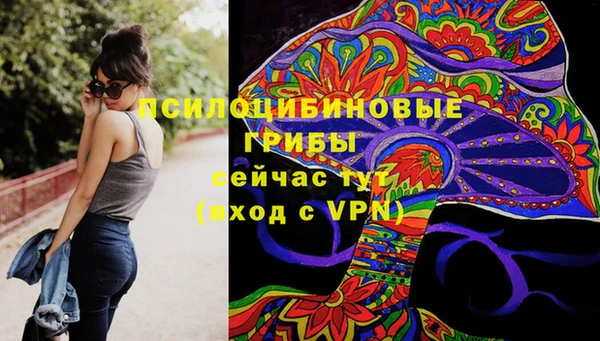 не бодяженный Краснослободск