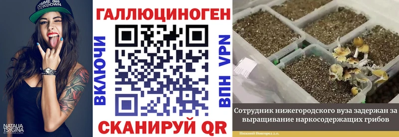 Псилоцибиновые грибы прущие грибы  Купить закладки  Вяземский 
